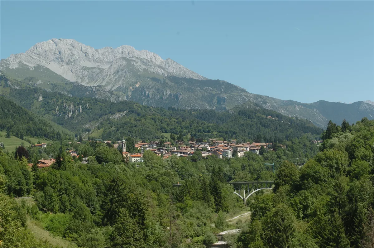 Panorama
