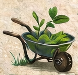 Giornata delle strade pulite